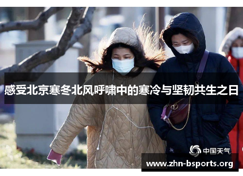 感受北京寒冬北风呼啸中的寒冷与坚韧共生之日