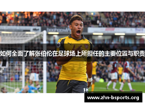 如何全面了解张伯伦在足球场上所担任的主要位置与职责