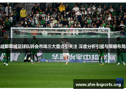 成都蓉城足球队转会市场三大重点引关注 深度分析引援与策略布局 成都蓉城足球队转会市场三大重点引关注 深度分析引援与策略布局